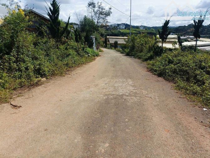 Bán đất biệt thự Măng Lin, Đà Lạt – View rừng thông, mặt tiền rộng - 3