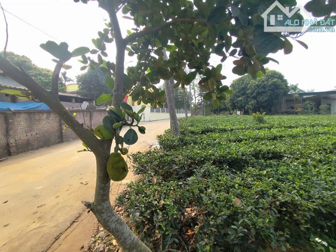 Bán lô đất trục liên thôn xã Suối Hoa đường 2 oto tránh_729M_150M đất ở_mặt tiền 13,5M_3,x - 3