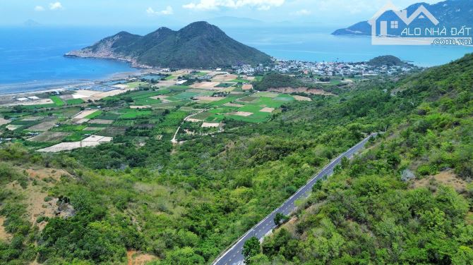 Bán Gấp Lô Đất Triền Đồi View Toàn Cảnh Biển Ninh Vân  - Mặt Tiền Đường Nhựa Ô tô ( 113m) - 3