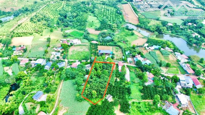 2778m Có 200m Đất Ở - TRên Đất Trồng Dổi Và Xoan - View Cánh Đồng Đẹp - 3