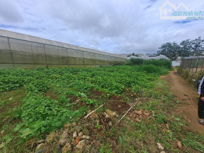 Cần bán Đất nn phân quyền. Phường lâm viên p8 cũ - 3