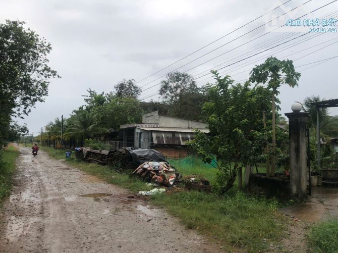 Đất vườn và đất ở nông thôn tại Bình Dương diện tích lớn giá hợp lý - 3