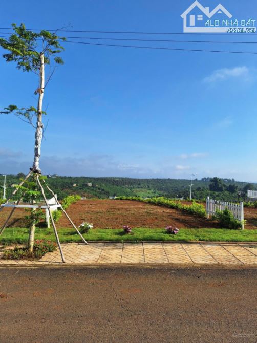 Cần tiền thanh lý gấp lô đất 02 mặt tiền KDC hiện hữu, đông đúc, DT164m/Giá chỉ 319 triệu! - 3
