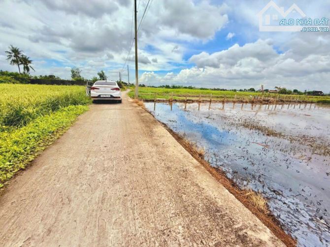 Hàng Ngon, 1960m2 đất có 200m2 thổ cư đường nguyễn văn tiết - 3