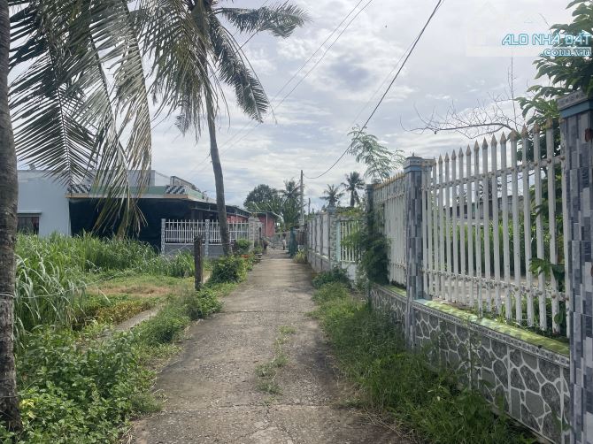 Bán đất Xã Bình Tân DT: 250m2 = 25*10 giá chỉ 280tr - 3