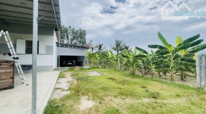 Bán Đất Bình Lộc Diên Khanh, Nay Là Suối Hiệp Khánh Hoà Đất CLN Diện Tích 1044m2 - 3