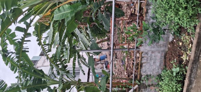 🔥PHÚ MỸ - CHỈ 3Ty6 - 56M2 ĐẤT FULL THỔ - SHR VUÔNG VẮN ✅Vị trí:•Hẻm cao ráo, sạch sẽ ✅Diệ - 3