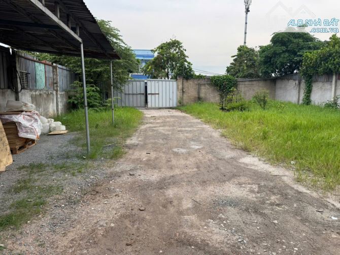 Bán đất lớn đường xe tải 1800m2 ngang 12m nở hậu chỉ có 12tr/m2 Xuân Thới Sơn Hóc Môn - 3