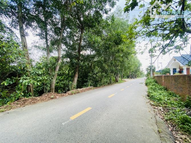 ĐẤT LONG PHƯỚC THỔ CƯ 200m2 + CLN | 2142m2 (34*71) - 4