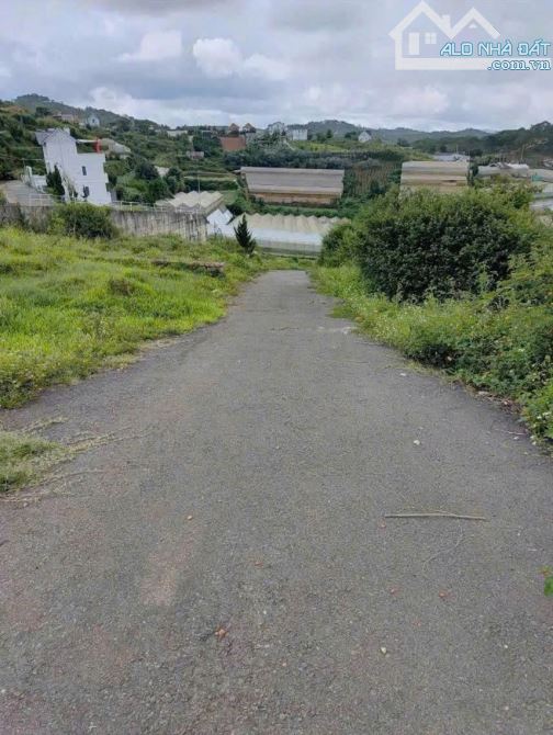 Bán đất biệt thự Măng Lin, Đà Lạt – View rừng thông, mặt tiền rộng - 4