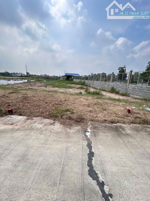 3427m2 đất lúa (62×58) giá 1,1 tỷ ĐứcTân_Tân trụ_Long An giá ngộp nhất khu vực - 2