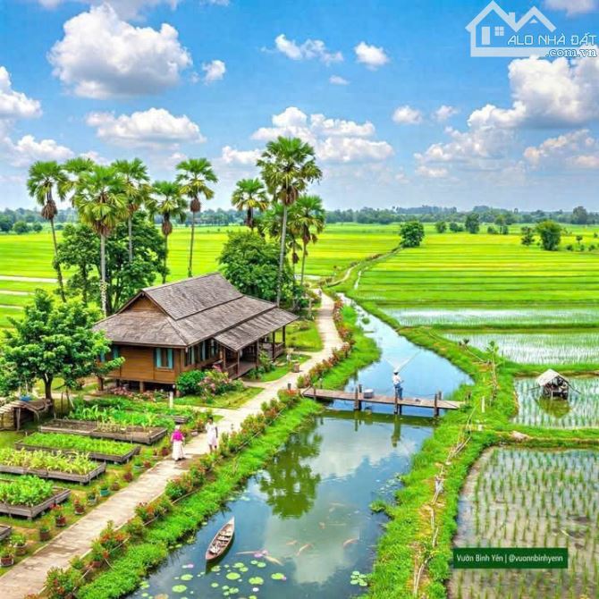 Hàng Vip, 1145m2 đất thổ đường ô tô KDC Tân Hòa, chỉ 1 tỷ 50tr - 4