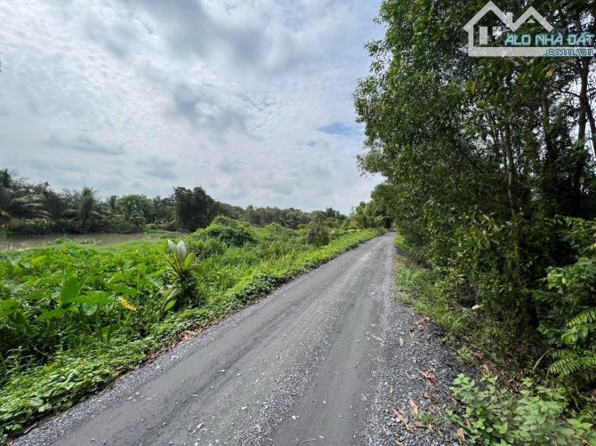 Đất vườn măng cụt 2 mặt tiền view Rạch Bà Lụa - Kế bên nhà hàng Gia Nguyên Garden - 4