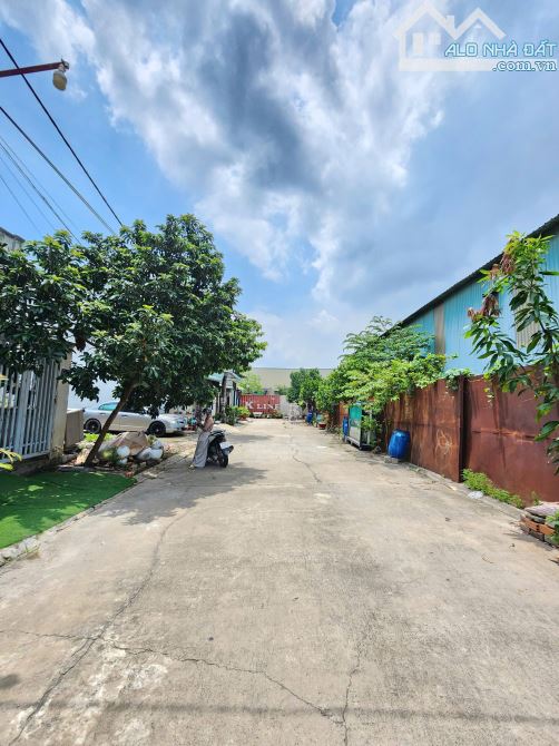 Bán nhà 1T1L 4x15m, hẻm Nguyễn Thị Minh Khai p. Tân Bình gần chợ Tân Bình - 4