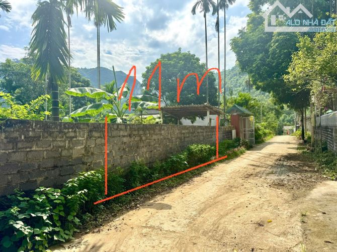 355 Full Đất Ở - Mặt Tiền 11m - Cách Bể Tắm Khoáng Nóng km - 4