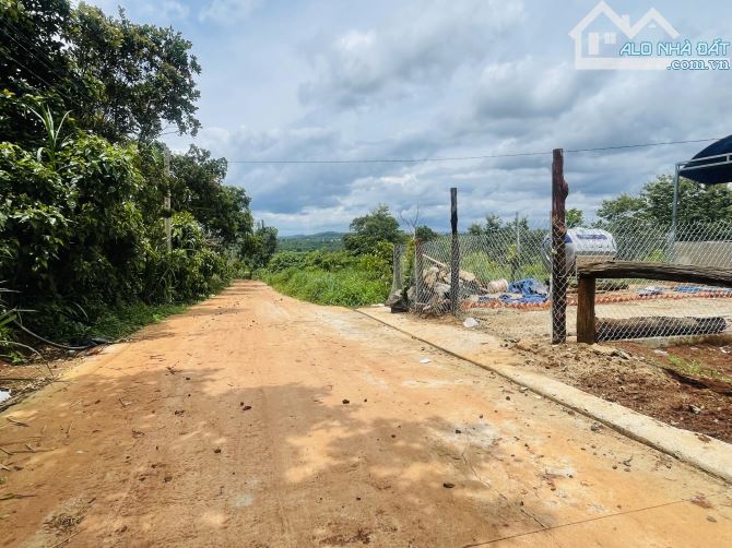 Bán 3ha đất nông nghiệp ngay khu dân cư Ymoan - 4