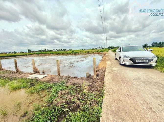 Hàng Ngon, 1960m2 đất có 200m2 thổ cư đường nguyễn văn tiết - 4