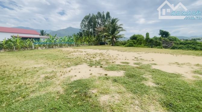 Bán Đất Bình Lộc Diên Khanh, Nay Là Suối Hiệp Khánh Hoà Đất CLN Diện Tích 1044m2 - 4