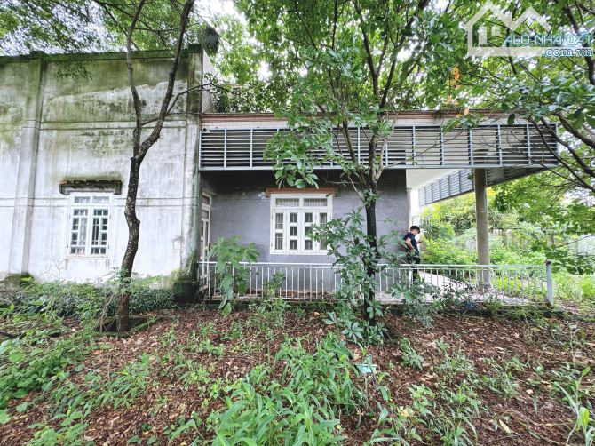 Bán biệt thự nhà vườn 846m2 Gần trường học Trần Quốc Toản chợ Giang Điền Trảng Bom - 5