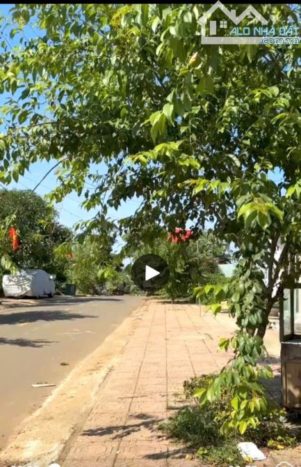 bán 181m2 đất măng đen -kon tum giá 4,6 tỷ kích thước 7 x 26m - 5