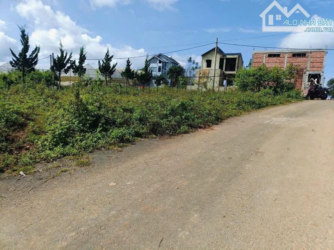 Bán đất biệt thự Măng Lin, Đà Lạt – View rừng thông, mặt tiền rộng - 5