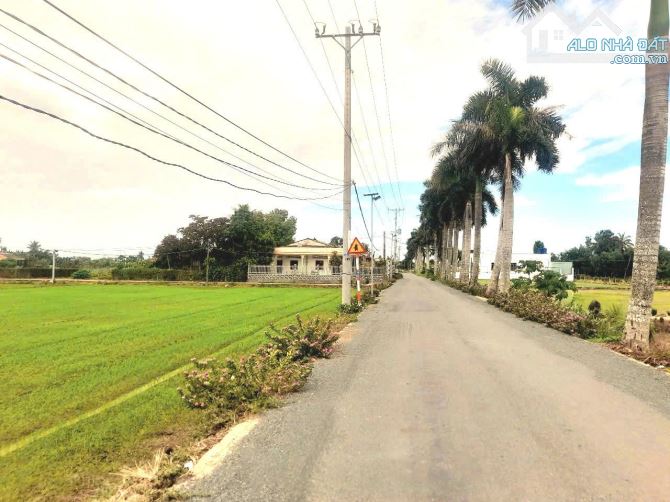 Hàng Vip, 1145m2 đất thổ đường ô tô KDC Tân Hòa, chỉ 1 tỷ 50tr - 5