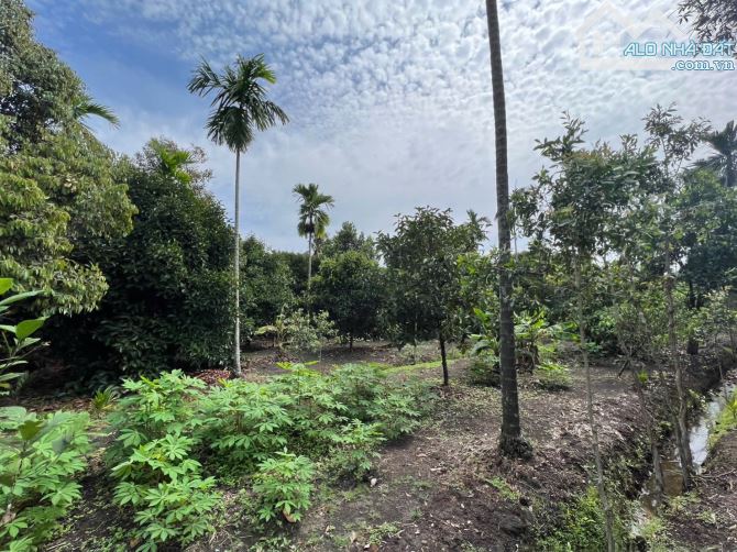 Đất vườn măng cụt 2 mặt tiền view Rạch Bà Lụa - Kế bên nhà hàng Gia Nguyên Garden - 5