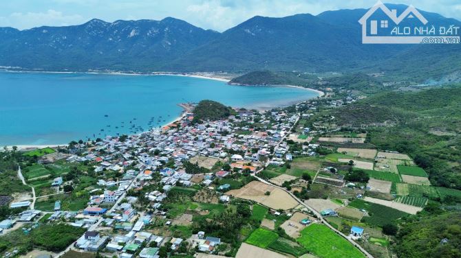 Bán Gấp Lô Đất Triền Đồi View Toàn Cảnh Biển Ninh Vân  - Mặt Tiền Đường Nhựa Ô tô ( 113m) - 5
