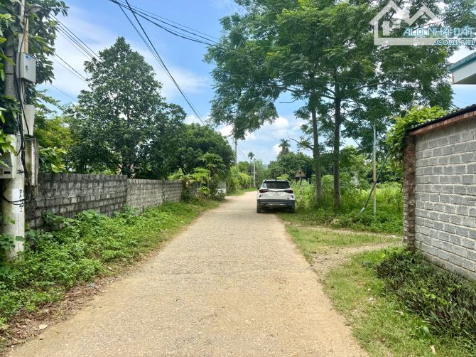 2778m Có 200m Đất Ở - TRên Đất Trồng Dổi Và Xoan - View Cánh Đồng Đẹp - 5