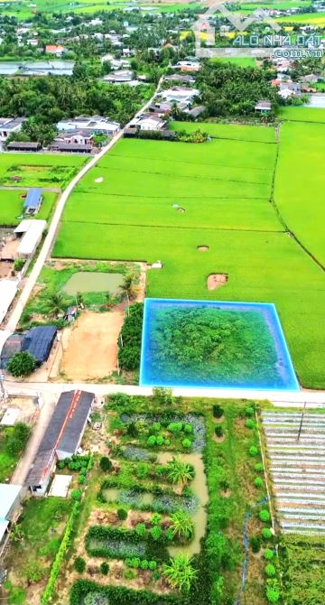 Hàng Ngon, 1960m2 đất có 200m2 thổ cư đường nguyễn văn tiết - 5