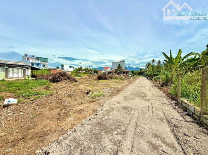 8 LÔ ĐẤT ĐẸP – FULL THỔ CƯ TẠI DIÊN AN - 6