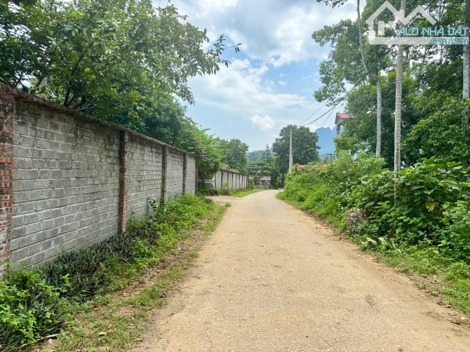 2778m Có 200m Đất Ở - TRên Đất Trồng Dổi Và Xoan - View Cánh Đồng Đẹp - 6