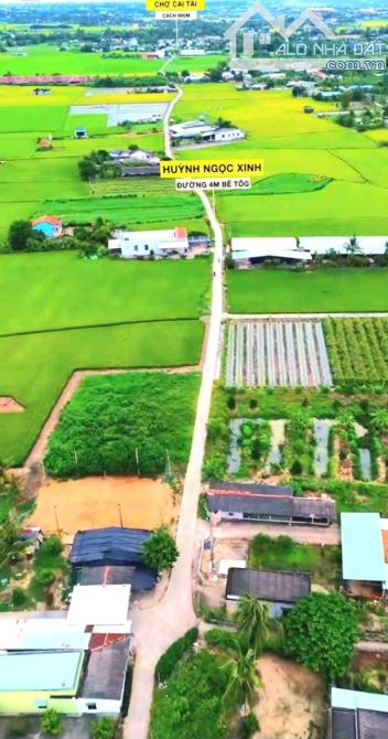 Hàng ngộp, 149m2 đất thổ đường Huỳnh Ngọc Xinh, chỉ 550tr - 6