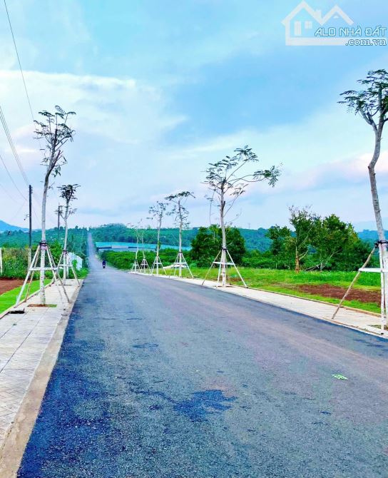 Cần tiền thanh lý gấp lô đất 02 mặt tiền KDC hiện hữu, đông đúc, DT164m/Giá chỉ 319 triệu! - 6