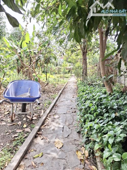 Nhà Vườn 2310m2 mặt tiền đường CMT8 P. Hưng Định Thuận An Bình Dương. - 6