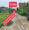 Gần đường 203 oto vào thoải mái ở LÂM ĐỘNG, Thủy Nguyên – TP. Hải Phòng
