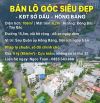 Bán đất kdt mới Sở Dầu, Hồng Bàng ngay sau Sở Tài Chính thành phố.
