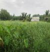 Đất vườn và đất ở nông thôn tại Bình Dương diện tích lớn giá hợp lý