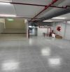 KHAN HIẾM! Bán tòa nhà HẦM/6LẦU ngay Đặng Như Mai TML Q2. DT 8x20. Giá chỉ 62 tỷ TL