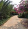 Bán 561m2 Đất - Vị Trí Đẹp Cẩm Thanh - TP Hội An