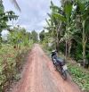 ✅ Bán 3 lô đất thổ đường Bờ Đê 10m, view sông Vàm Cỏ thuộc Bình Quới , Châu Thành _5.5x32