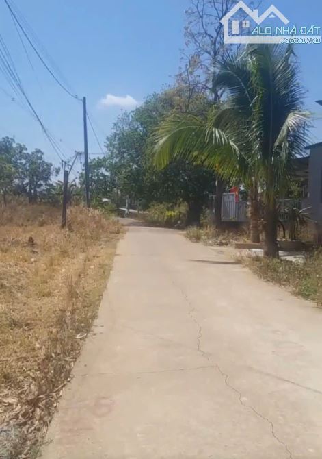 BÁN ĐẤT MẶT ĐƯỜNG BÊ TÔNG TẠ QUANG BỬU - KHỐI 7 - PHƯỜNG THÀNH NHẤT !!!