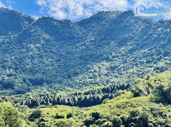527M2 ( 9,5TR/M2 ) VIEW ĐẸP GIÁ TỐT LÀM NHÀ VƯỜN XỊN - 4