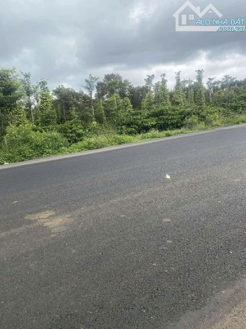 4000m2 MT đường Tránh HCM Hòa Đông - 4