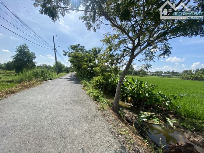 Chủ ngộp bán rẻ 1000m2 QH dân cư ngang 45m