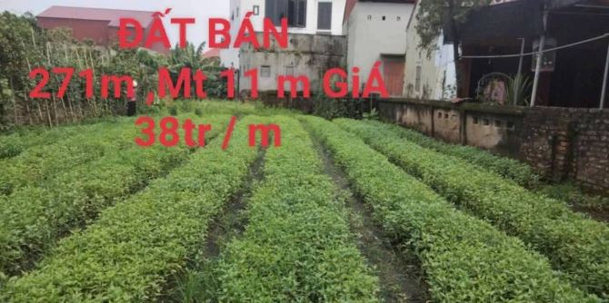 Chính chủ bán mảnh đất Văn Giang Hưng Yên