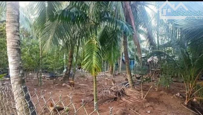 Bán 500m2 đất nền biệt thự đường oto qh đất ở