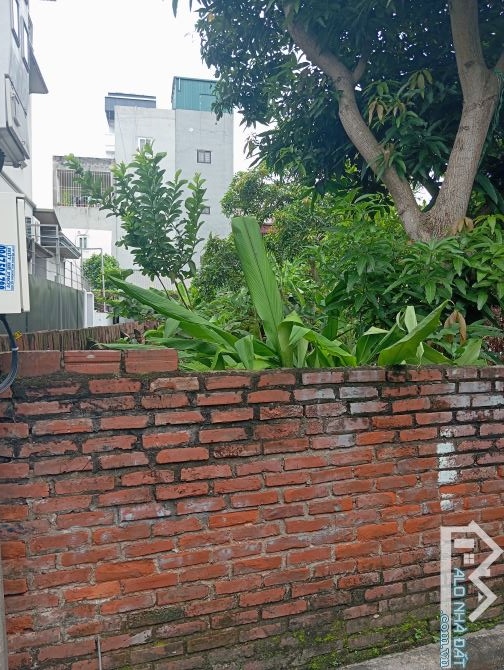 BÁN ĐẤT PHÚC LỢI - LONG BIÊN 80M MẶT TIỀN 9M NGÕ NÔNG THOÁNG Ô TÔ NHỎ VÀO ĐẤT... GIÁ 7.85T