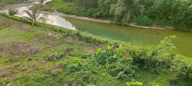 Đất trồng cây hằng năm view sông, đường bê tông 7m, 1200m2