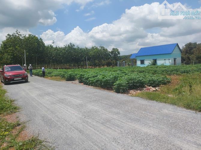 Bán đất SHR, 5x40m sát KCN Phước Đông, mặt tiền đường nhựa thông, chỉ 480tr, Tây Ninh.